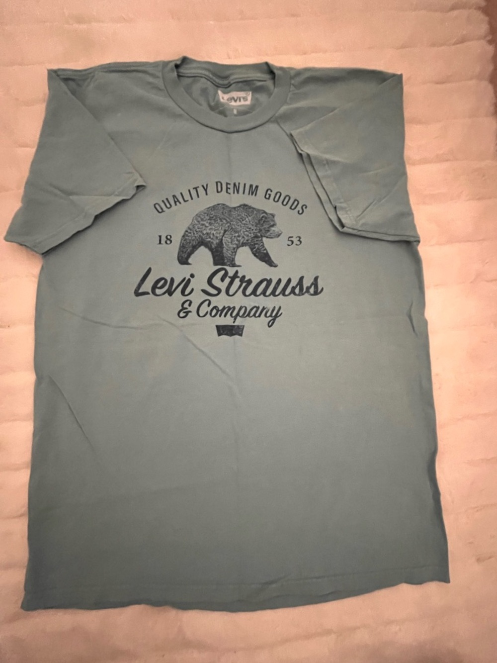 Levi’s Blue Short Sleeve T-Shirt